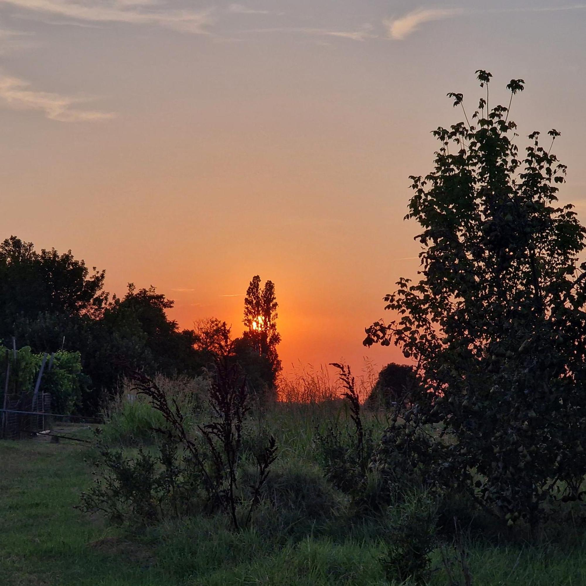 Appartamento Divino Tramonto Altedo Zewnętrze zdjęcie